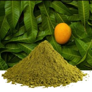 Mango Leaves Powder
