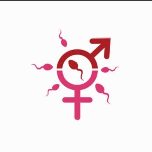 Female Fertility Boost Combo