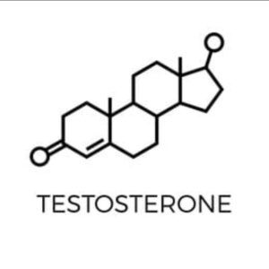 Testosterone Boost 500g